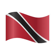 T&T Flag